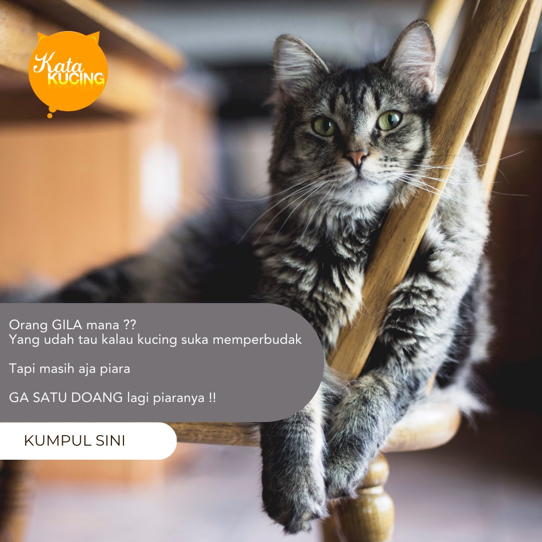 manaaa disini orang gilaknya??? 

catmin salah satunya lagi