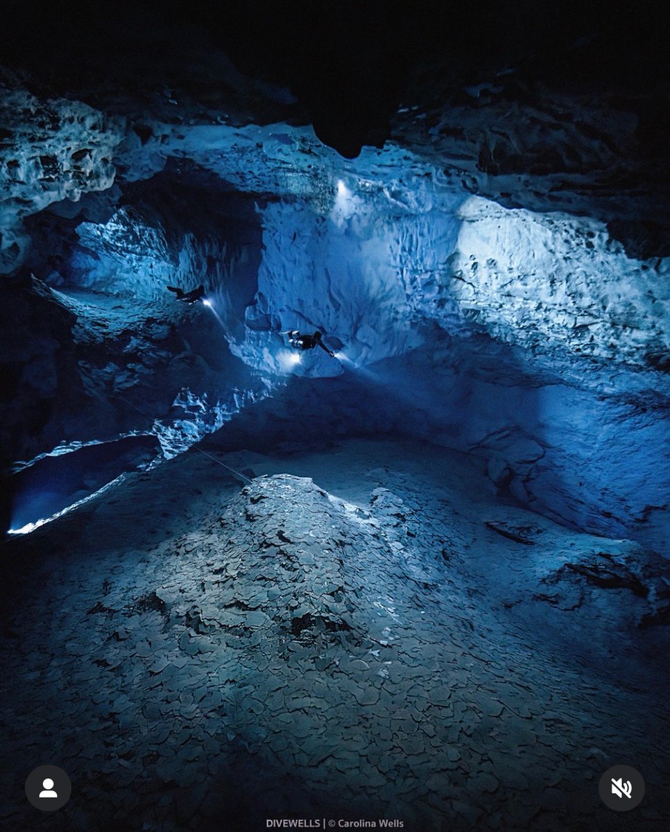 El Gran Acuífero Maya, capturado por Carolina Wells (IG: @divewells ⭐️). Para lograr la fotografía, colocaron luces a 60m de profundidad, y los buzos están a 43m. Cueva Yaal-Utzil, Yucatán. Este planeta 🌎🩵🩵🩵.