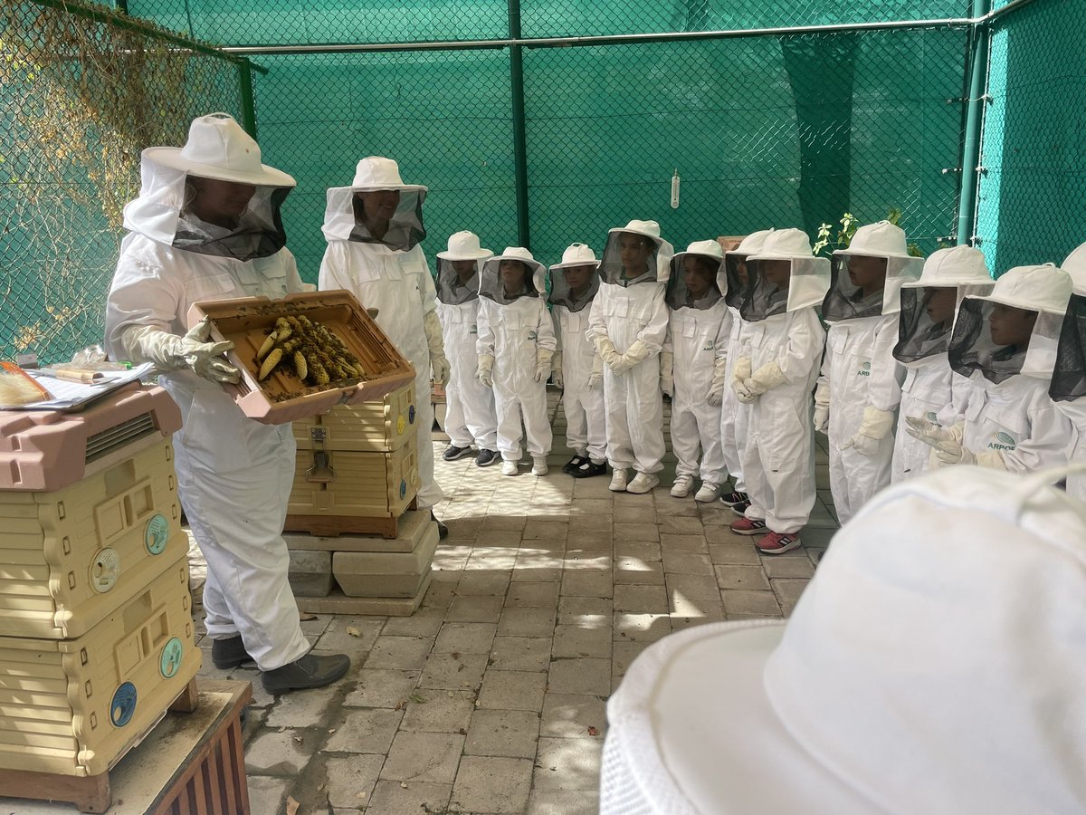 Year 2 | The Arbor School tweet media