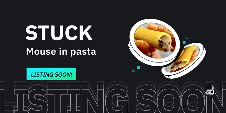 🌟 Upcoming New Listing 🌟 🤩 #BitMart will list @thepastamouse $STUCK soon! Keep an eye on our socials for further announcements. Share in the comments what you like about this project👇