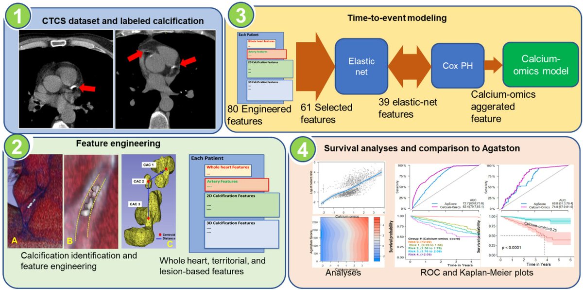 Thrilled to share our newest radiomics paper "Enhancing cardiovascular risk prediction through AI-enabled calcium-omics" led by Dr Hoori

We show that coronary calcium radiomics carry information beyond Agatston score that can help refine risk assessment

nature.com/articles/s4159…