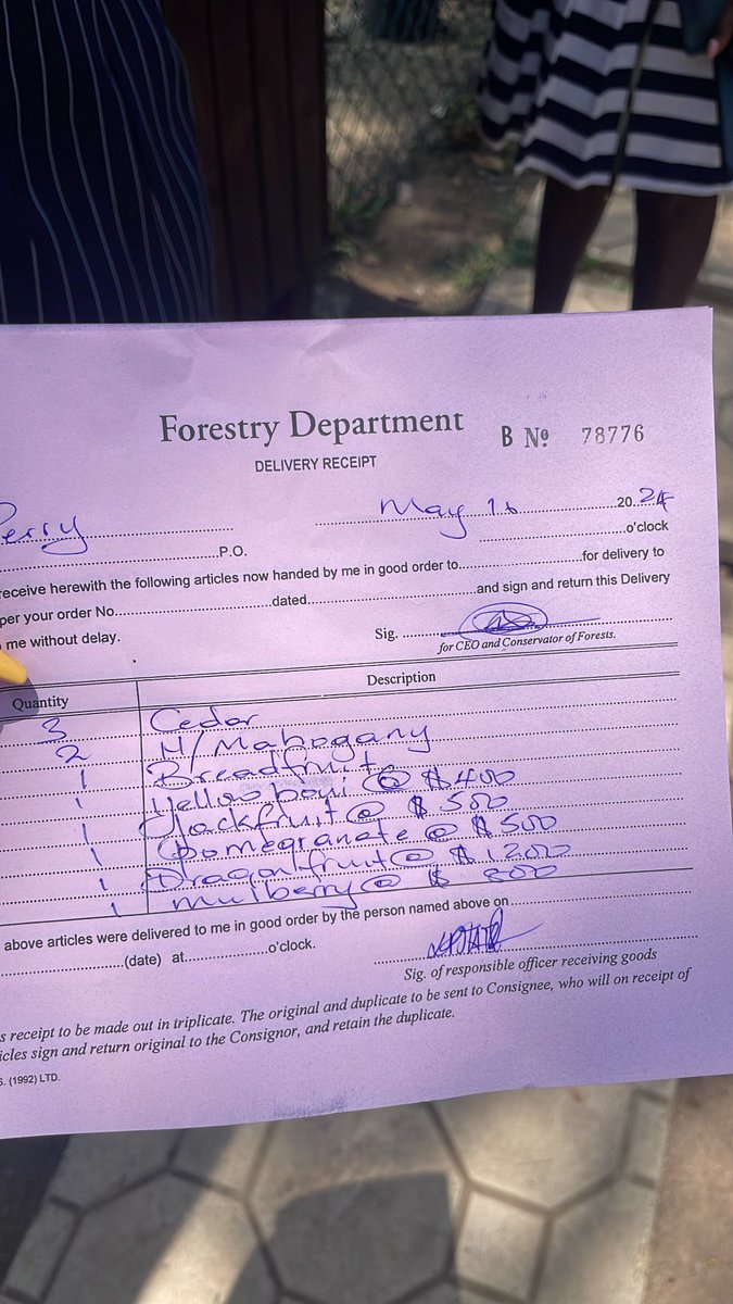 perryodontology's tweet photo. Guys run don’t walk to forestry department. They giving away TREES!!!!

Just got myself a Breadfruit Tree!
Avocado was finished ☹️ https://t.co/ed6KLn5s1e