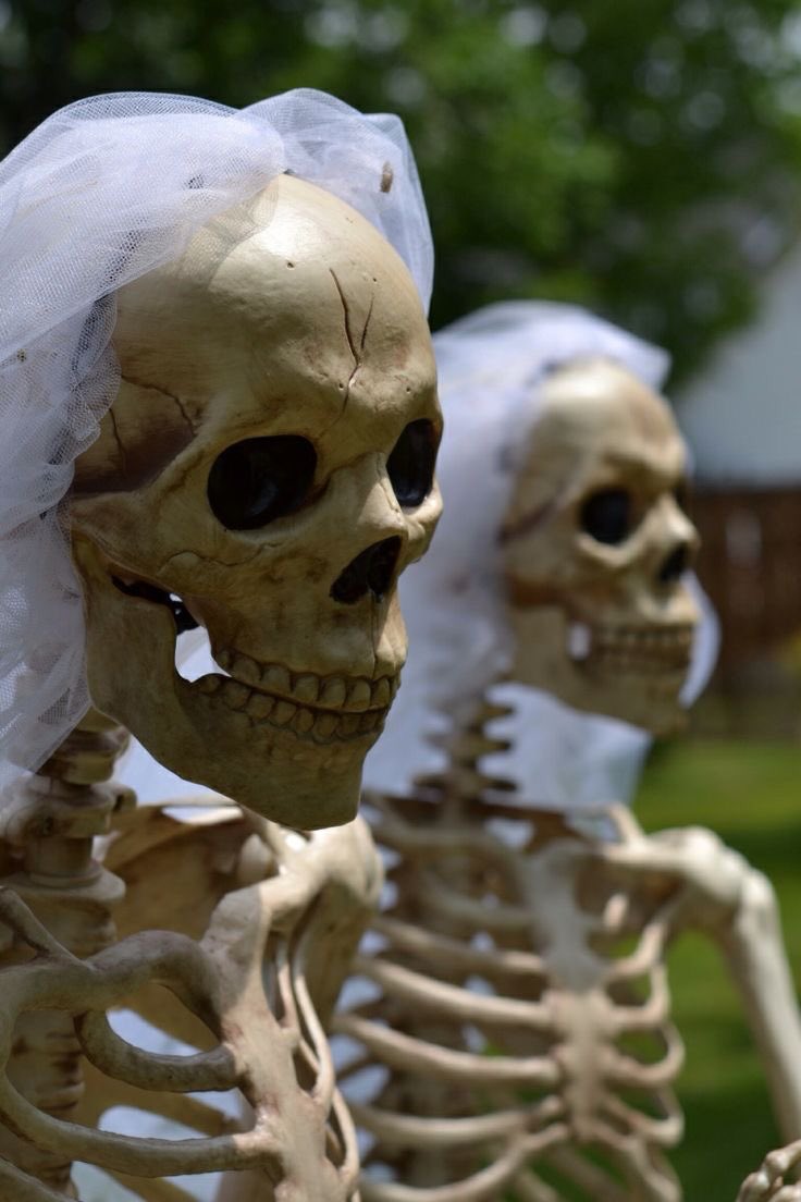 kanka inanıyorum doğru kişiyi bulacağız