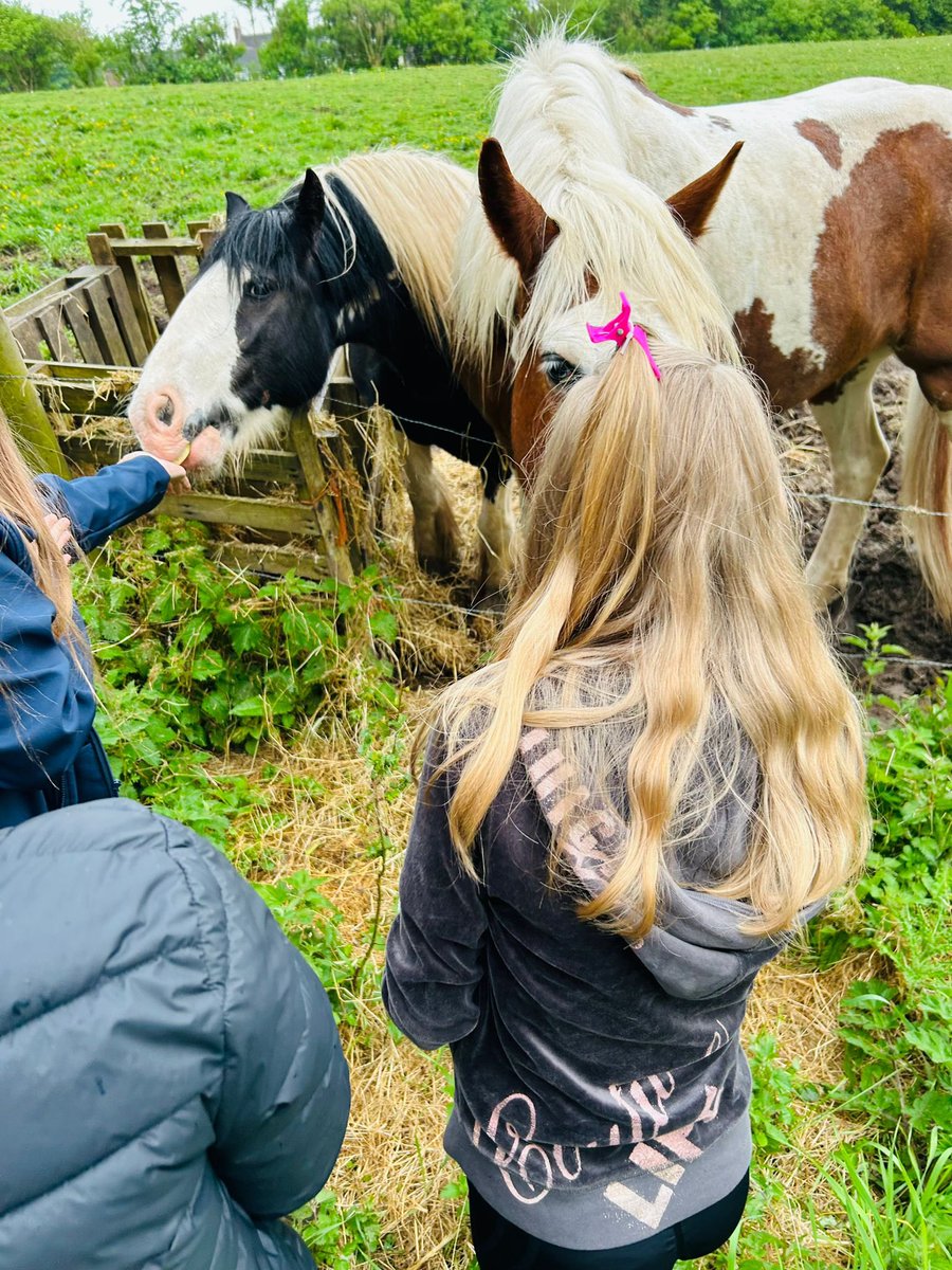 reintegreat's tweet photo. π£π΄ Pixl Edge Programme πΏ
Today, our KS3 group enjoyed a peaceful day outdoors fishing and feeding horses as part of our Pixl Edge programme. They learned valuable lessons about the therapeutic benefits of spending time with animals.
#PixlEdge #NatureTherapy #KS3Adventures https://t.co/XrGVtD0EKH