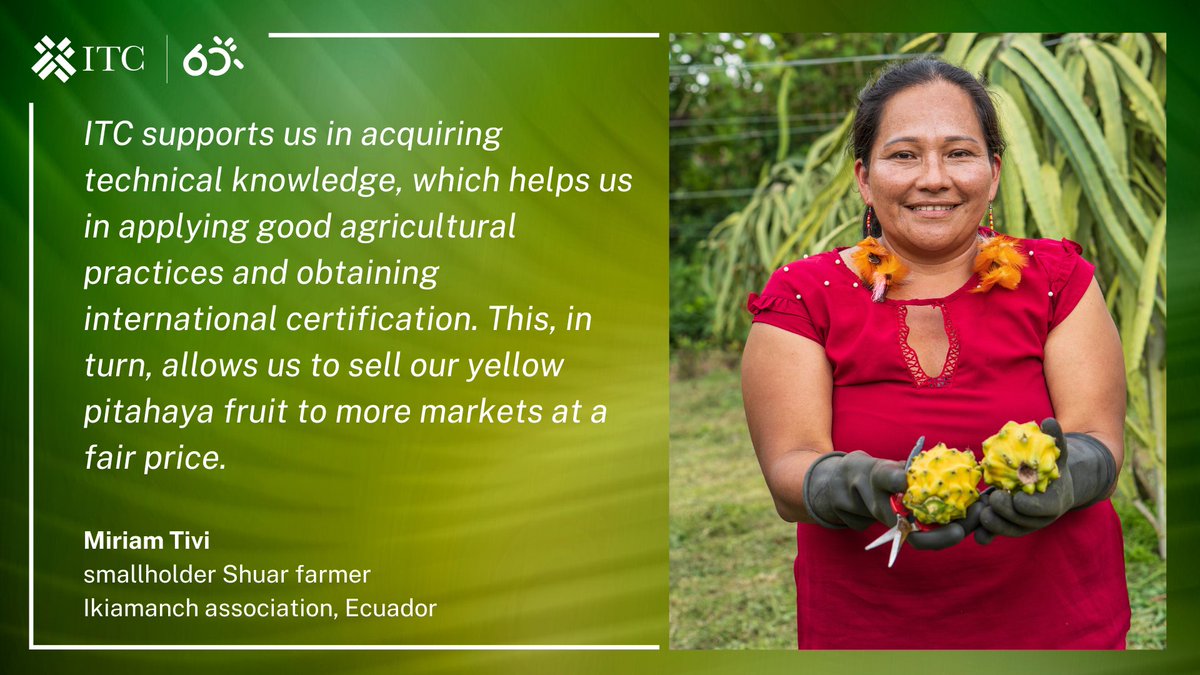 Celebrating 60 Years of Impact! 🎉 Miriam isn't the only smallholder farmer who has reached new markets through the work of ITC, and we are not stopping our support for small businesses to become more competitive. ℹ️ bit.ly/ITC60years