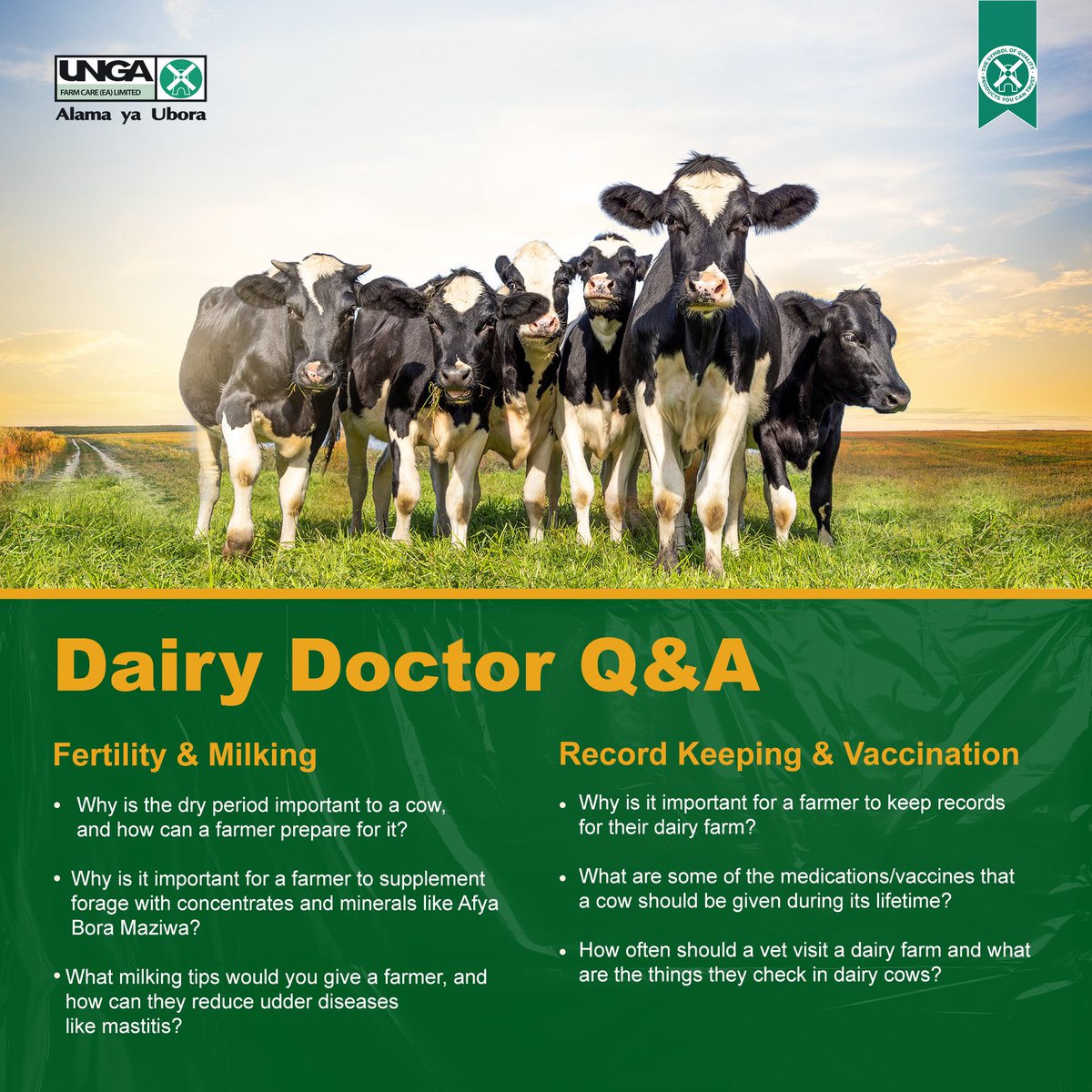 Tunawaletea leakage ya dairy farming kesho asubuhi on Facebook Live at 9:00am.

Get your pens and notebooks out, daktari wa ng'ombe anakuja na the complete guide on feeding and management of your dairy cows.

#Fugo #DairyFarming #AskADoctor #UngaFarmFeeds