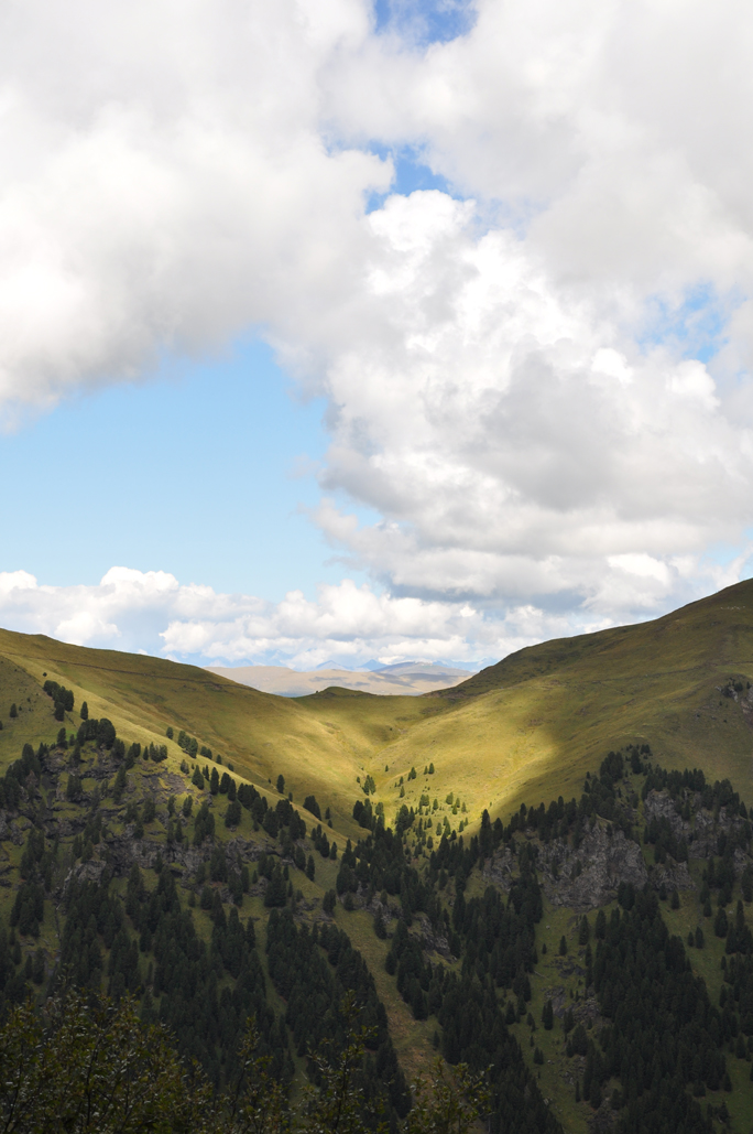 Rotari USA tweet media