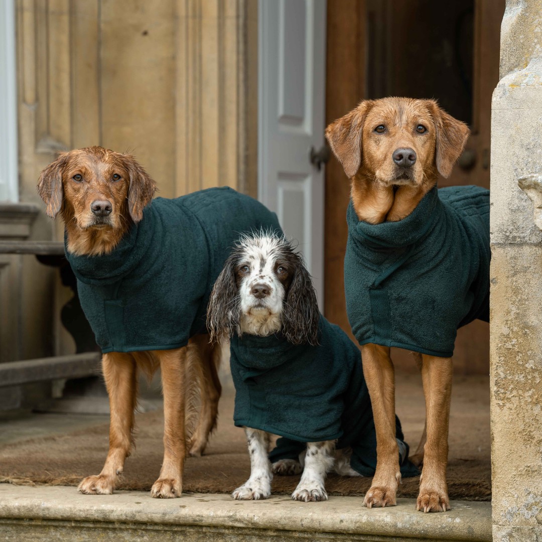 Who's going to @goodwoofdogs? WE ARE!🎉 It's this weekend at glorious Goodwood and we'll be there - so don't forget to drop by, have a chat, meet our dogs, show us yours and try on a Drying Coat or two. Everything we sell is at show prices, so that's a bonus! 🥰 See you soon..