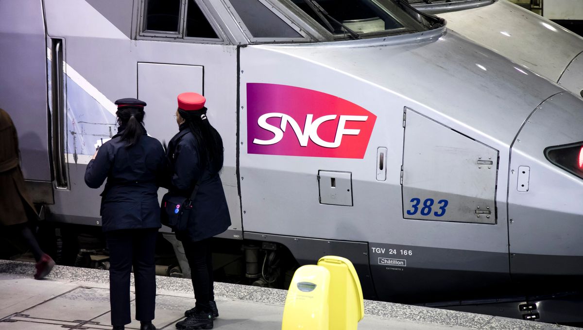 Un Irakien étrangle une contrôleuse SNCF lors d’un contrôle de billets à bord d’un TGV fdesouche.com/2024/05/16/un-…