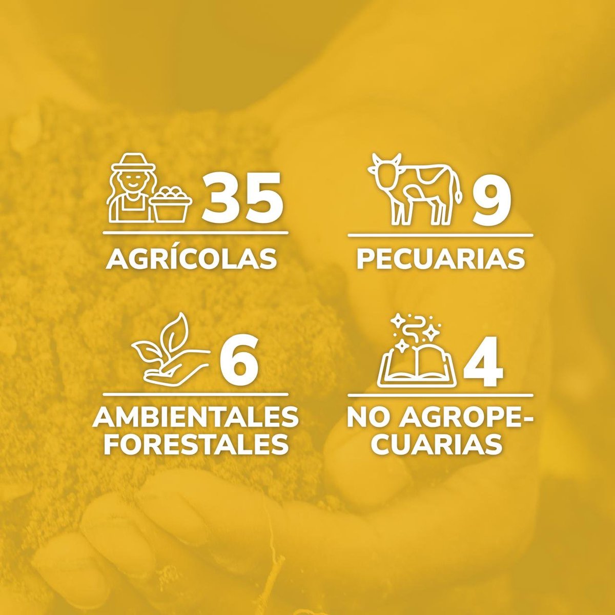 👍🏼 Buena nota que los Planes Maestros de Estructuración se vayan a implementar en las 16 zonas del #PDET para empujar 54 cadenas de valor agrícolas, pecuarias, ambientales forestales, no agropecuarias. Proyecto #MiVidaEsElCampo de @RenovacionCo y @FAO. #TerritoriosDeVida #PDET