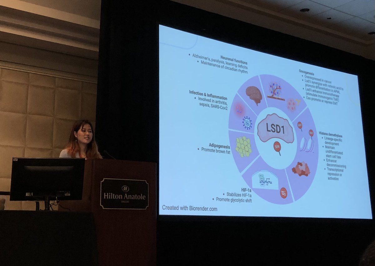 Very proud of @NinaKupra for her excellent talk this morning on the role of LSD1 in #skin #dermatology and #cancer at #SID2024 ! @SocInvestDerm @CAMBUpenn @pennbgs @PennSbdrc @PennEpiInst @WellenLab @PennCancer