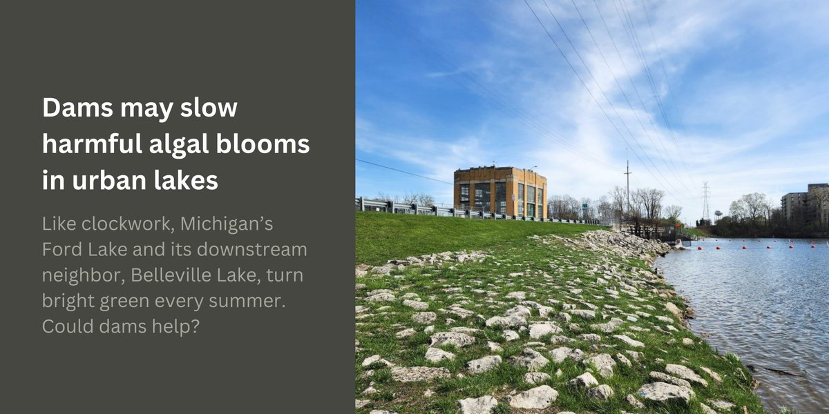 The lakes, located near #Ypsilanti in the southeast part of the state, have struggled for decades with phosphorus pollution that spurs #algae growth. The quest for a solution is familiar to #urban lake communities across the #GreatLakes region: greatlakesecho.org/2024/05/10/dam…