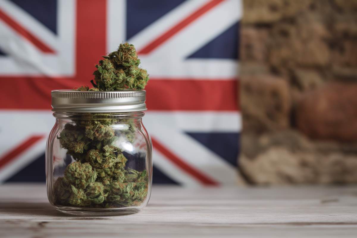 Pendant que la France fait du surplace, le Royaume-Uni avance à grands pas dans le cannabis médical 🌿🔍 lecannabiste.com/uk-toujours-pl…

'Avec une croissance explosive du marché et une législation adaptable, le Royaume-Uni se démarque. 🇬🇧🌿'

#LeCannabiste #CannabisMedical