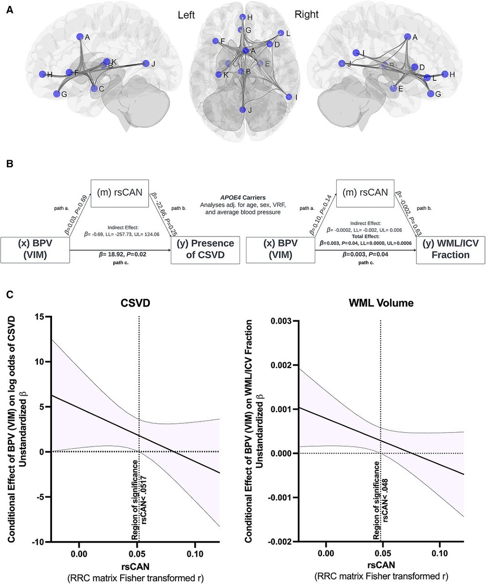 Older #APOE4 carriers with elevated beat‐to‐beat blood pressure variability exhibit increased cerebral small‐vessel disease presence and severity. #AHAJournals #ResearchLetter @arunima_kapoor ahajrnls.org/4bAxyO1