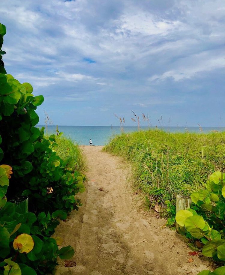 Your path to happiness awaits 👣📸: IG user belocalstuart #DiscoverMartin #ExploreNaturalMartin #LoveFL