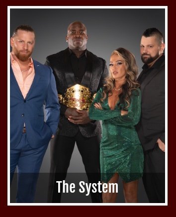 I need TNA to update 'The systems' roster page since everyone now has gold