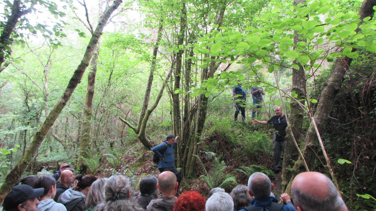 🤗Aquí vos deixamos unha pequena escolla de momentos do domingo 12 de maio, ca xente da SIR "La Devesana".

Agradecemos a participación ás nosas guías e á xente que se achegou a escoitalas e  a coñecer de preto Devesos (Ortigueira).

Próximamente ➕ actividades🌱