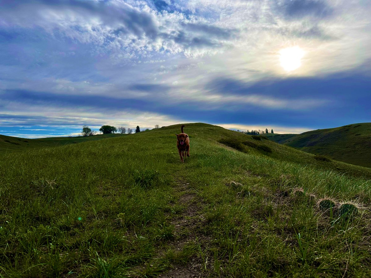 steveplusc's tweet image. “If you run, you are a runner. It doesn’t matter how fast or how far. It doesn’t matter if today is your first day or if you’ve been running for twenty years. There is no test to pass, no license to earn, no membership card to get. You just run.” - John Bingham