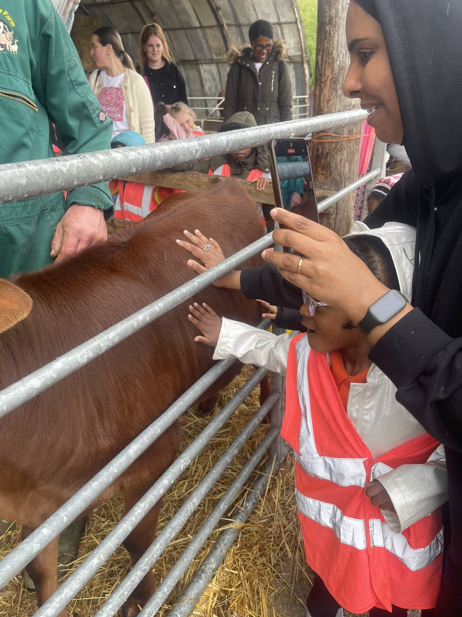 What an amazing day we had at Boydell’s Dairy Farm. We got to milk the cow.Feed and stroke the lambs , goats, llamas, donkeys and ponies and other farm animals. A big thank you to all the parents who came and made the day memorable forSquirrels@TVInfants @AdamDobsonTVI @RofiyaTVI