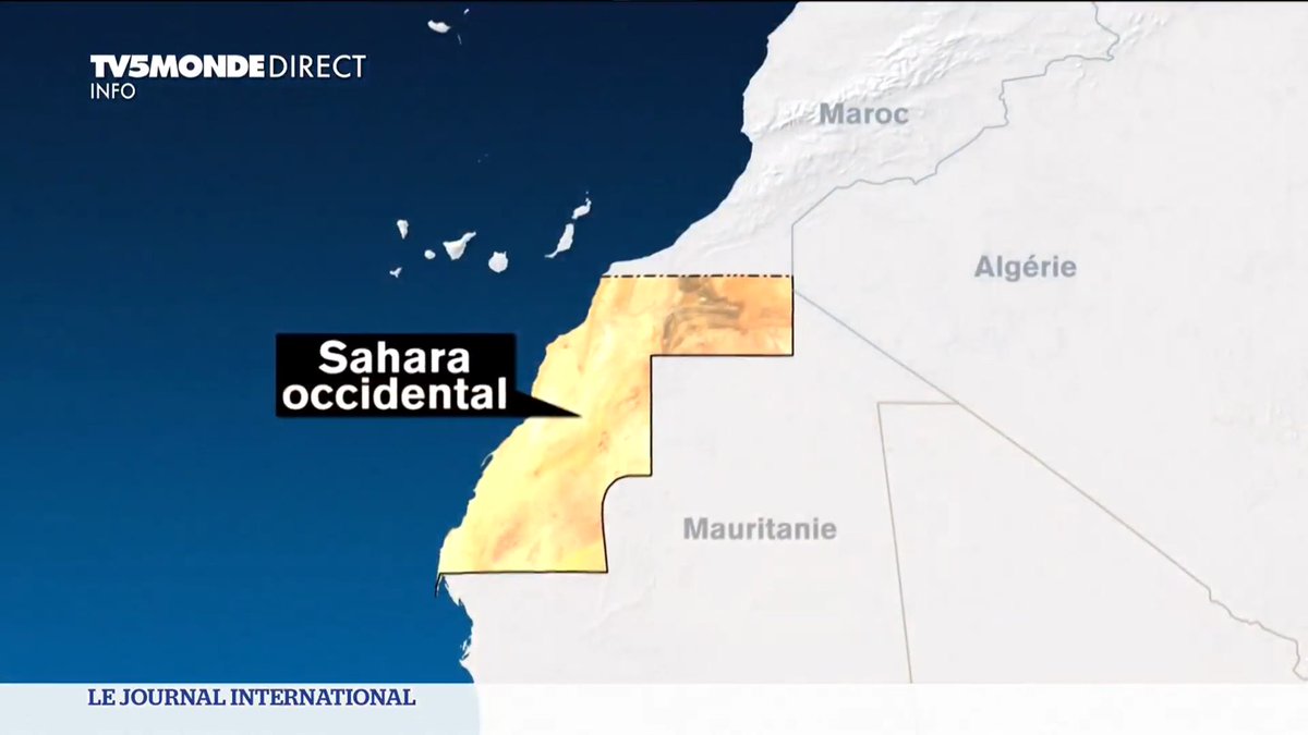 Les Sahraouis 🇪🇭 dans les villes occupées du #SaharaOccidental comme Dakhla, Boujdour & Smara traduisent l'attachement du peuple sahraoui à son Etat et au Front Polisario, son seul représentant légitime pour la réalisation de ses aspirations à l'indépendance & à la liberté

#RASD