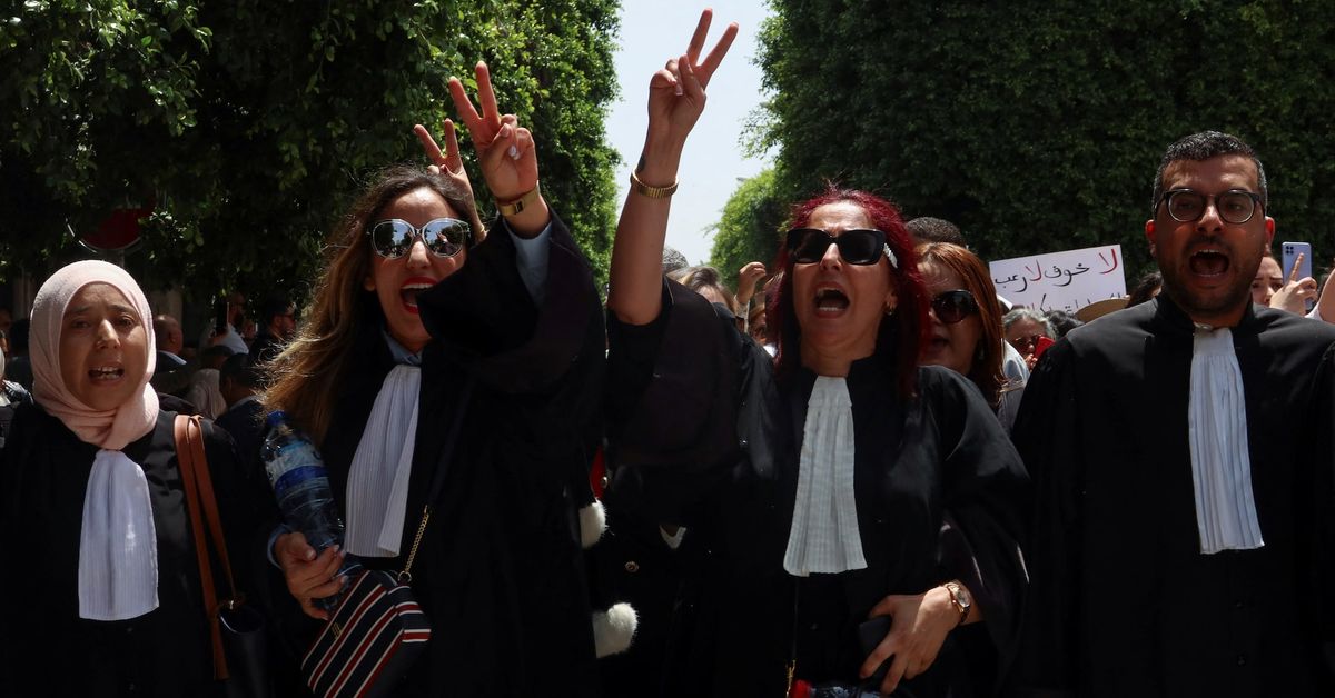 Tunisian lawyers go on strike, protest against alleged police abuse reut.rs/3wEttZK