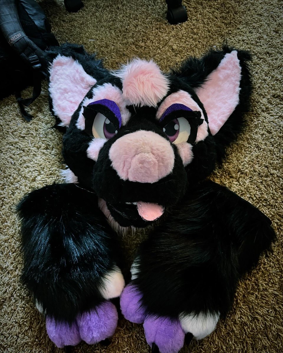 Fursuit for sale! Dm me on insta! @shoppinkgeminihusky , $800 + shipping #furryoc #fursuit #fursuitforsale #premade #premadefursuit #furryfandom #fursona #fursuitmakers #fwa #forsale #fursuiter #reshare