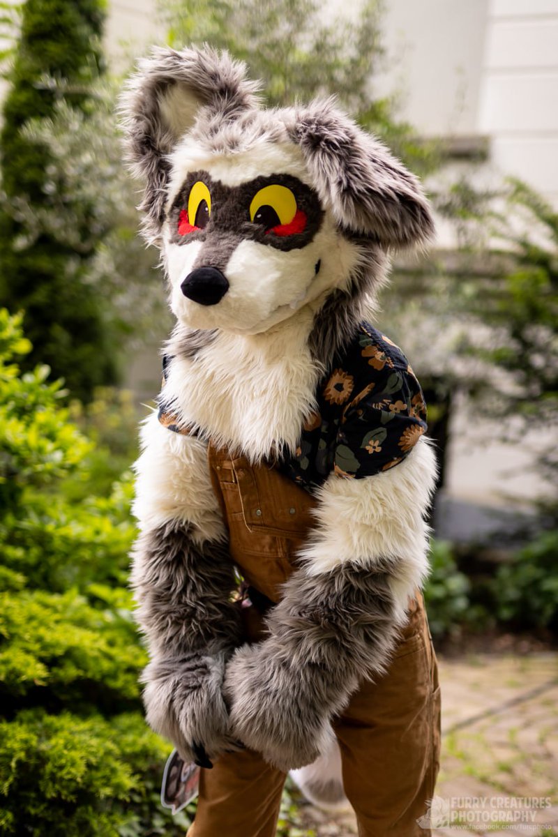 Gelki's tweet image. Gorgeous pics I got at #fwh so happy how my suit came out ;w;

📸:@FurCPhoto
