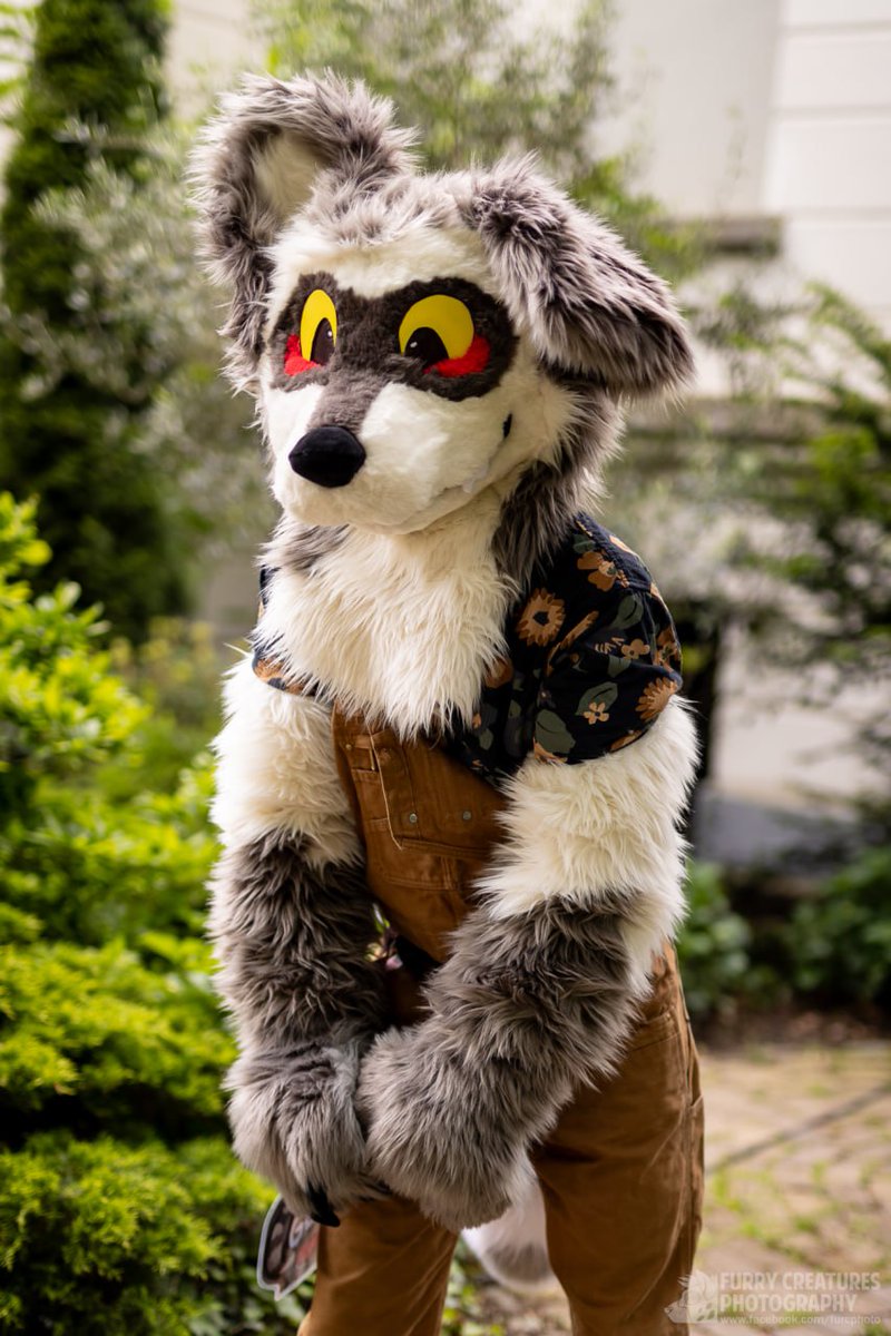 Gorgeous pics I got at #fwh so happy how my suit came out ;w; 📸:@FurCPhoto