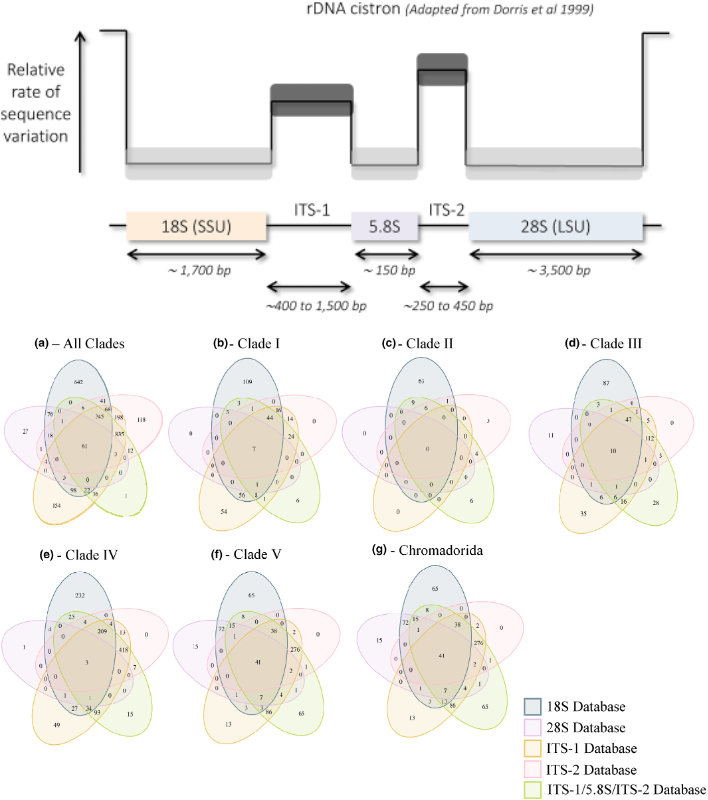 John Gilleard tweet media