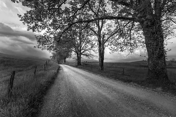 #Art to #decorate a #home or #gift from #tennessee #SmokyMountains #landscapes #artworks buff.ly/3yiNWDK  buff.ly/4ablL71 #travel #picoftheday
buff.ly/3UUaR1m #vacation #amazing 
#blackandwhite #blackandwhitephotography  #blackandwhitephotol
