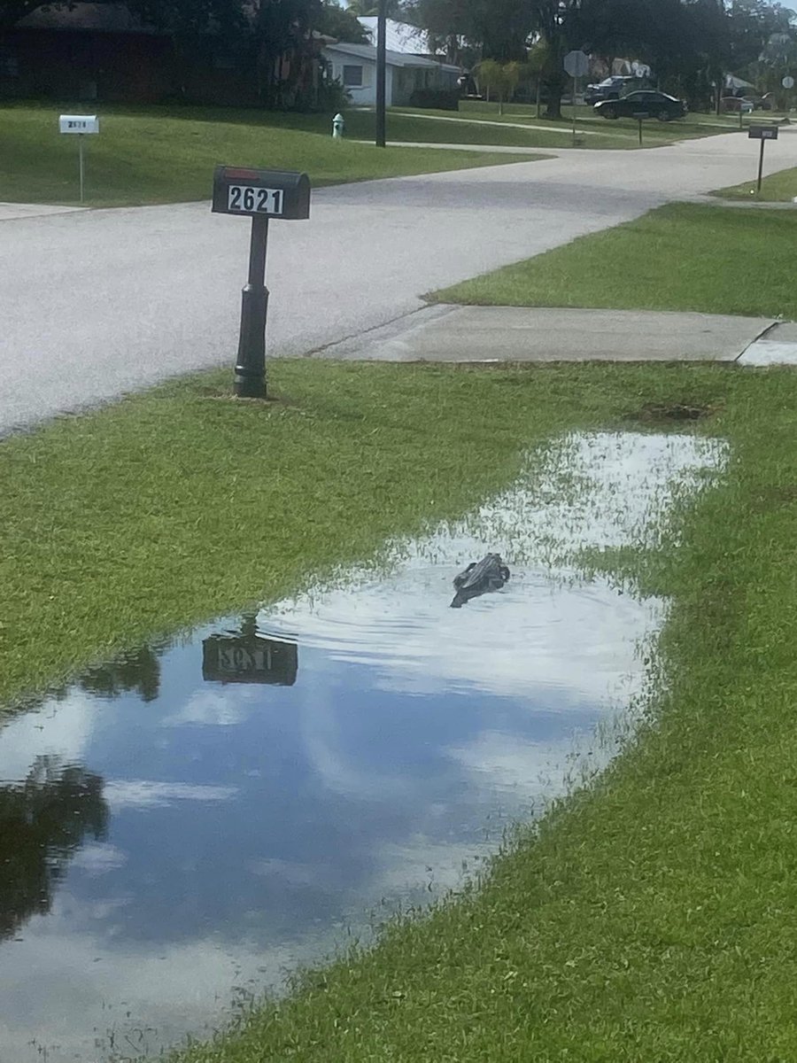 this is me if u even care