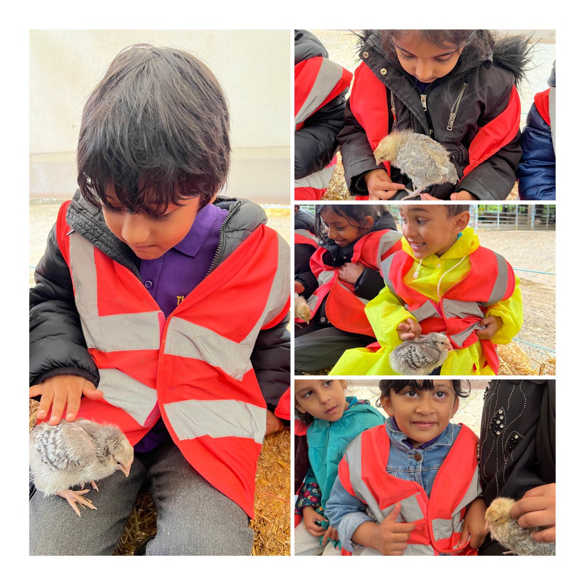 Owls had a fabulous day at Boydell’s Diary Farm today! Children milked the cow, fed and stroked the lambs, goats, llamas, donkey, ponies and many other farm animals. The rain definitely didn’t stop us from having FUN! Thank you to the parents who came along with us! @TVInfants