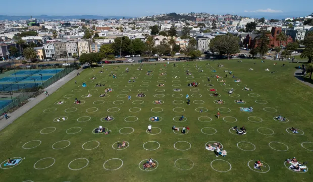 do you remember when they painted circles in the park in san francisco, and told us if we left them we were killing someone's grandma