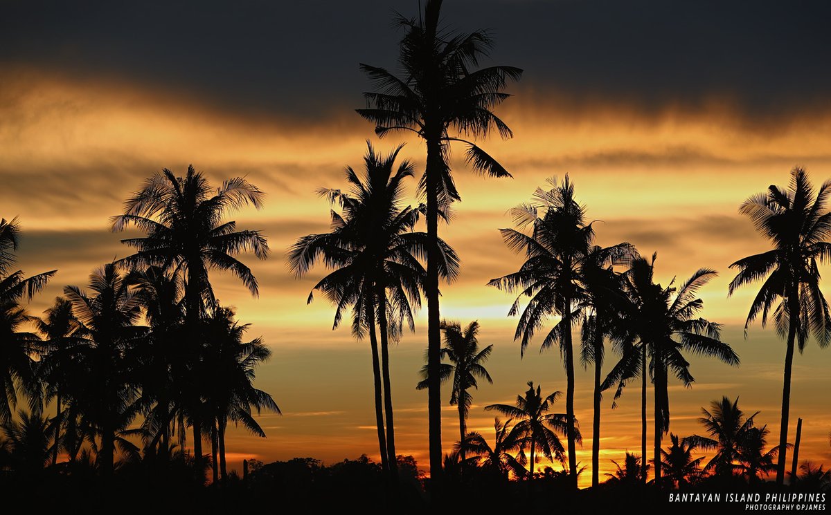 Island Life Therapy: Sleepy Time Orange Sunset, amongst cloud cover rolling in above the coco palms - Bantayan Island Cebu, The Philippines. #ThePhotoHour #travelphotography #IslandLife #bantayanisland #bantayan #photography #StormHour #ShotOnCanon @TourismPHL #weather