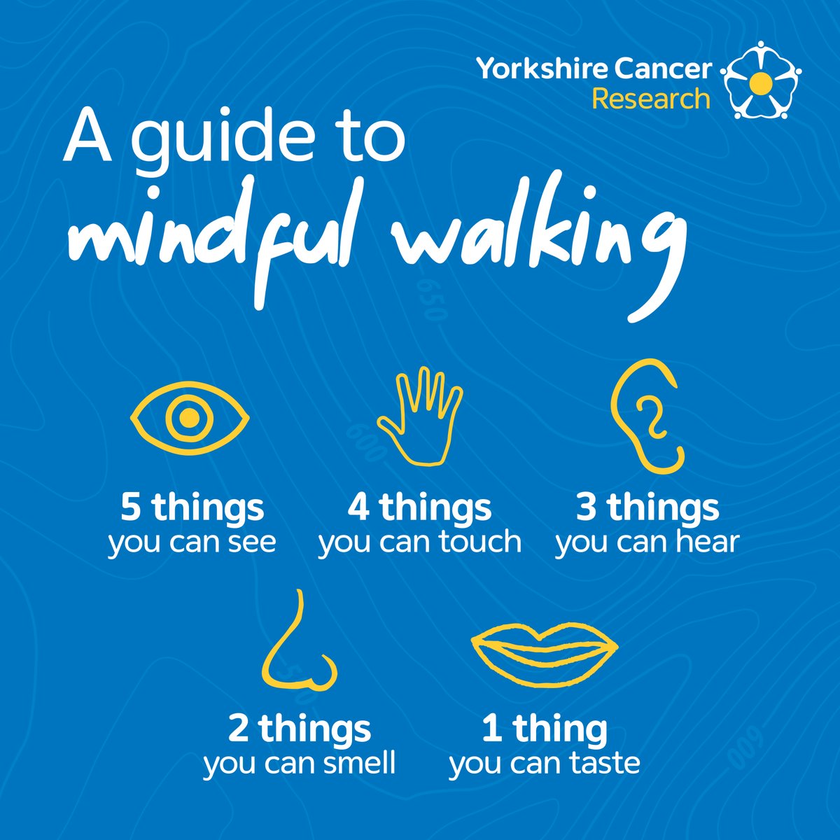 Your guide to mindful walking 🍃 As well as being good for your physical health, walking can also benefit your mental wellbeing. The next time you are clocking up the miles as part of We Walk For Yorkshire, take a look at these mindfulness tips.