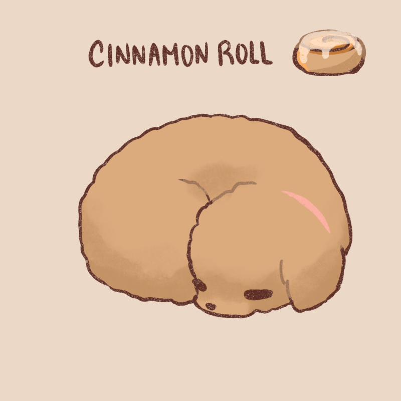 🍩 CUNE tweet media