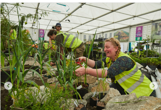 BU Biology & Zoology (@bangorbiozoo) on Twitter photo The brilliant staff and students who work at the uni botanic garden <a href="/TreborthBG/">Treborth Botanic Garden</a> are busy creating a garden for <a href="/The_RHS/">The RHS</a> #ChelseaFlowerShow which will then grow permanently here <a href="/BangorUni/">Bangor University</a> What a great idea, good luck! The brilliant staff and students who work at the uni botanic garden <a href="/TreborthBG/">Treborth Botanic Garden</a> are busy creating a garden for <a href="/The_RHS/">The RHS</a> #ChelseaFlowerShow which will then grow permanently here <a href="/BangorUni/">Bangor University</a> What a great idea, good luck!