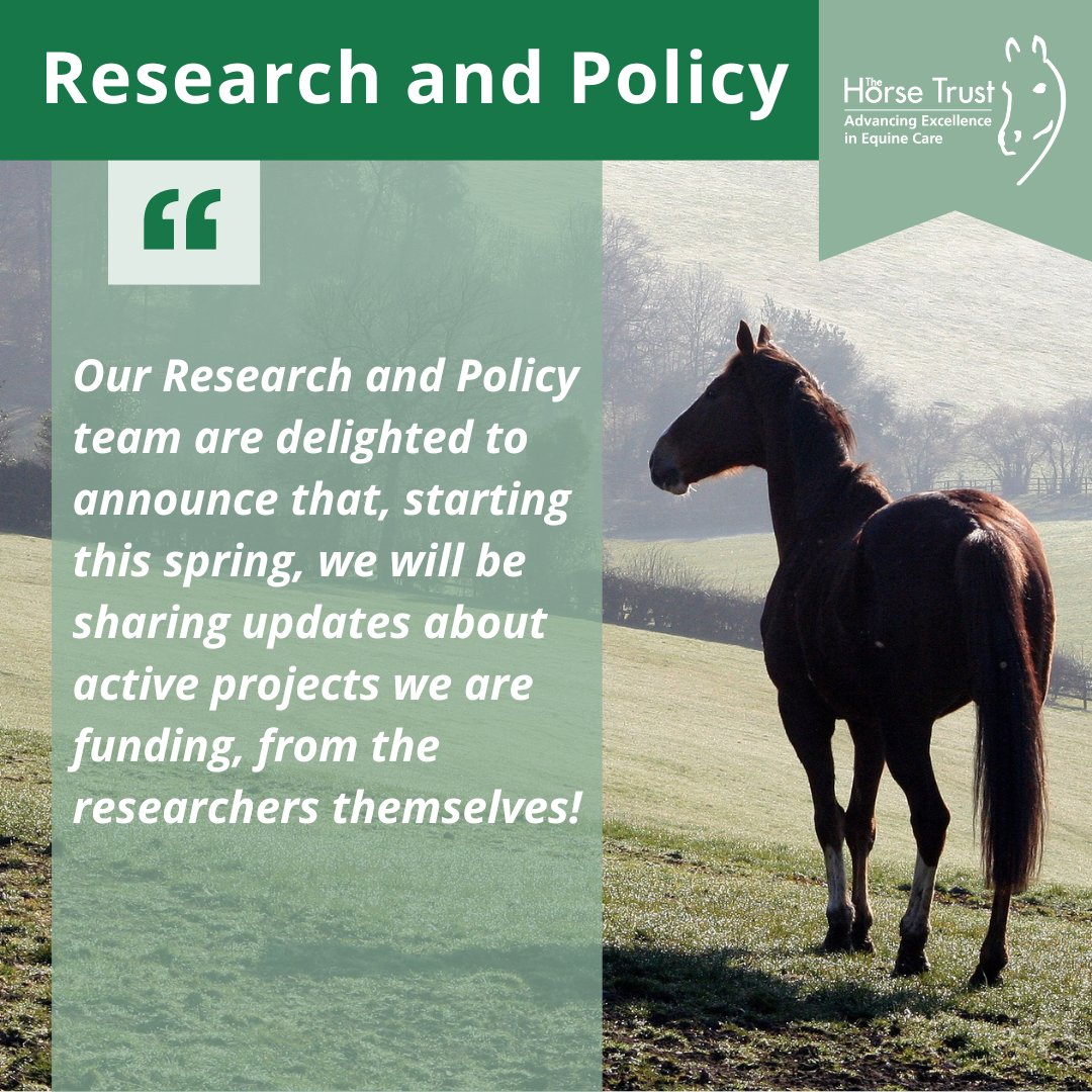 So excited to share our regular research updates on active funded projects - insight into the excitement, variation and challenges of real-life research practice horsetrust.org.uk/horse-trust-re…
#EquineResearch #HorseCharity #EquineCharity #ResearchAndFunding #ResearchDissemination