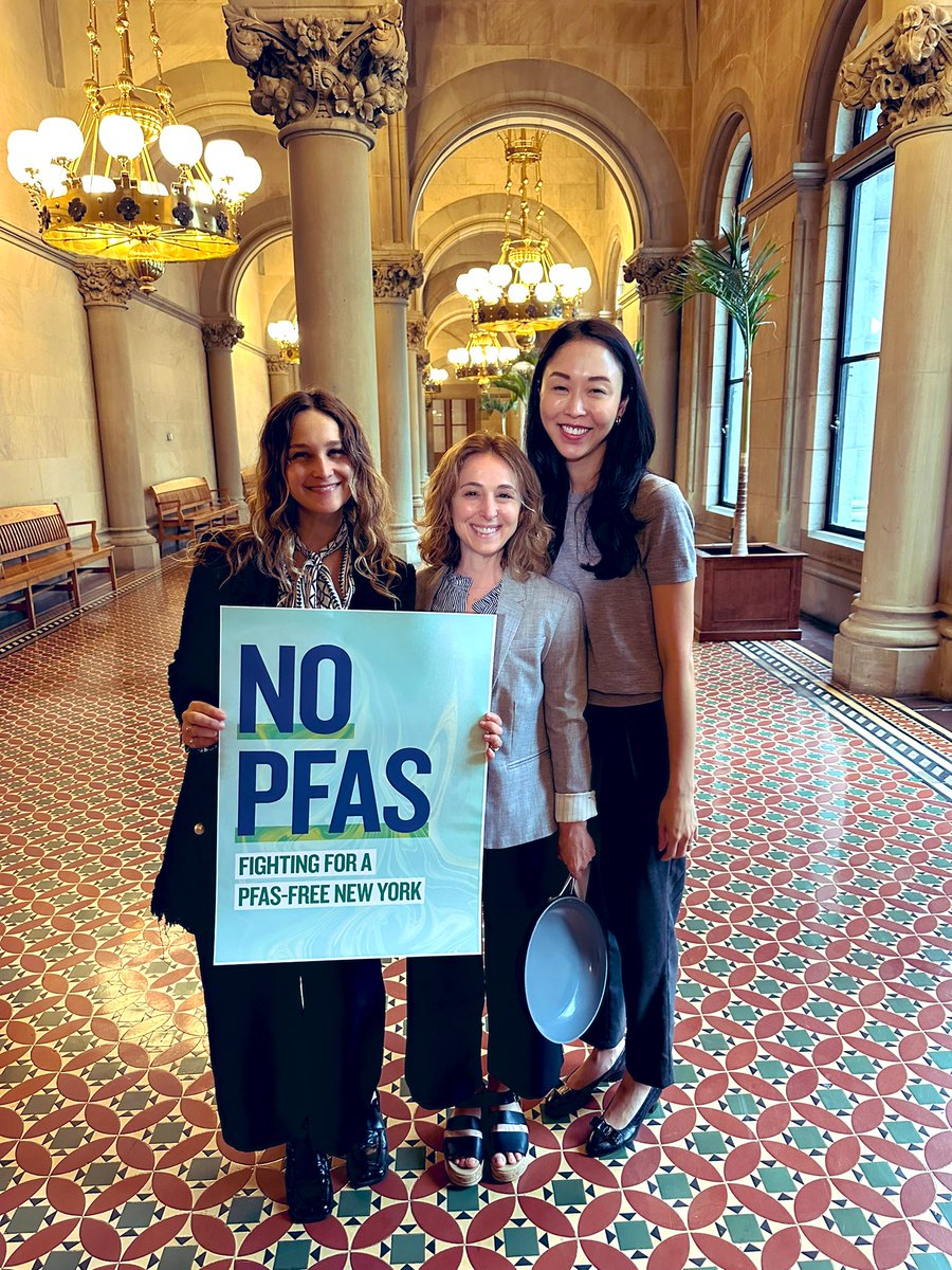 Calling NY to get PFAS out of everyday products like dental floss, cosmetics, textiles, menstrual products and more this session! Few more weeks, we can do this! <a href="/DeborahJGlick/">(((Deborah Glick)))</a> <a href="/SenatorHarckham/">Senator Pete Harckham</a> <a href="/bradhoylman/">Brad Hoylman-Sigal 🌈🥯</a> <a href="/kenzebrowski_ny/">Ken Zebrowski</a>