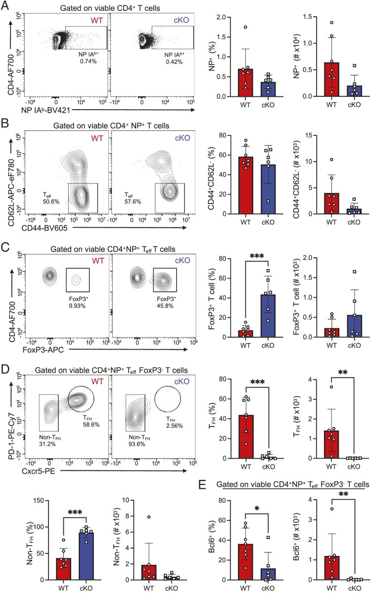 Pelotonia Institute for Immuno-Oncology tweet media