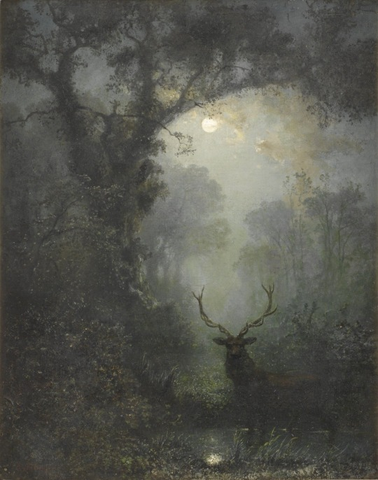 Deer in the forest at night, Eugen Krüger, Düsternbrook, Kiel, Germany, 1871.