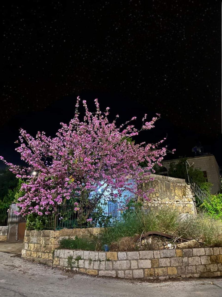 Rashaya, Lebanon