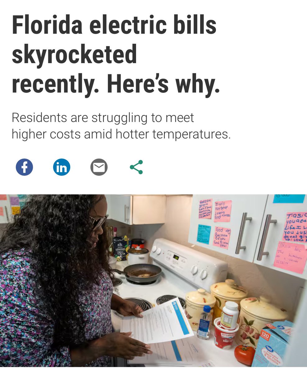 Whitney Fox tweet media