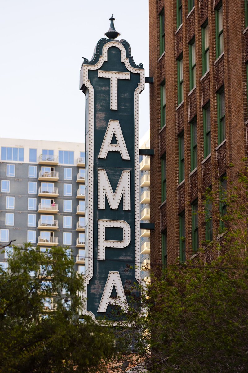 Lights, camera, action! It's National Classic Movie Day, and @tampatheatre is rolling out the red carpet for its 33rd annual Summer Classics movie series! Check out Tampa Theatre's website for the full lineup and showtimes. tampatheatre.org/movie-categori…