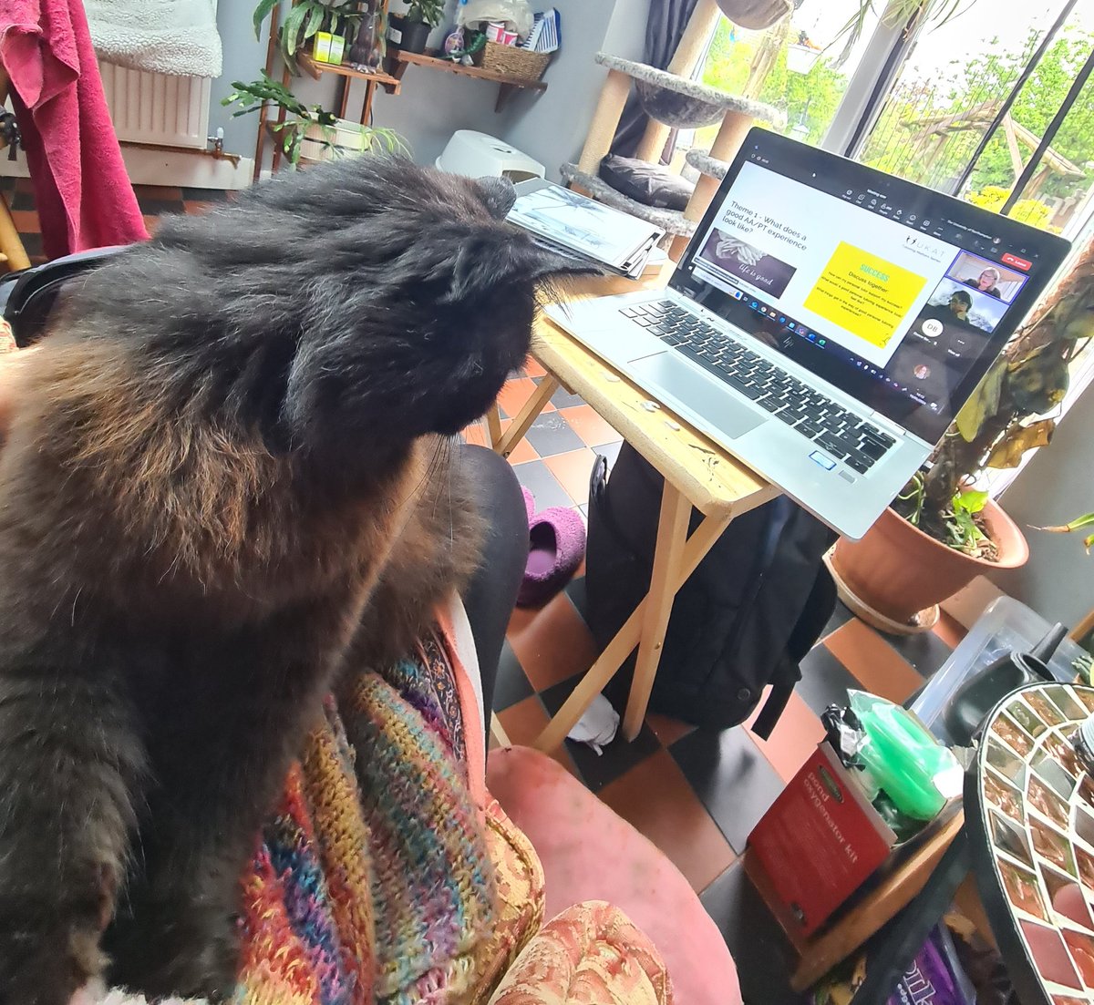 UON Integrated Foundation Year (@foundation_uon) on Twitter photo Belonging and mattering is so important for our tutees, but not only them, says Smokey
<a href="/FASTresearchUON/">Faculty of Education, Arts, Science & Technology</a>
<a href="/UniNorthants/">UniofNorthampton</a> @UKAT_Edu <a href="/splaurie/">sally laurie</a> Belonging and mattering is so important for our tutees, but not only them, says Smokey
<a href="/FASTresearchUON/">Faculty of Education, Arts, Science & Technology</a>
<a href="/UniNorthants/">UniofNorthampton</a> @UKAT_Edu <a href="/splaurie/">sally laurie</a>