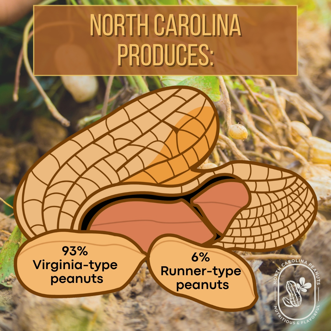 From the farms of North Carolina to the palm of your hand, our peanuts are more than just a snack...they're a way of life! 🥜 👩‍🌾

Our dedicated farmers produce 93% Virginia-type peanuts and 6% Runner-type peanuts, bringing you both nutrition and flavor. 👏

#NCPeanuts