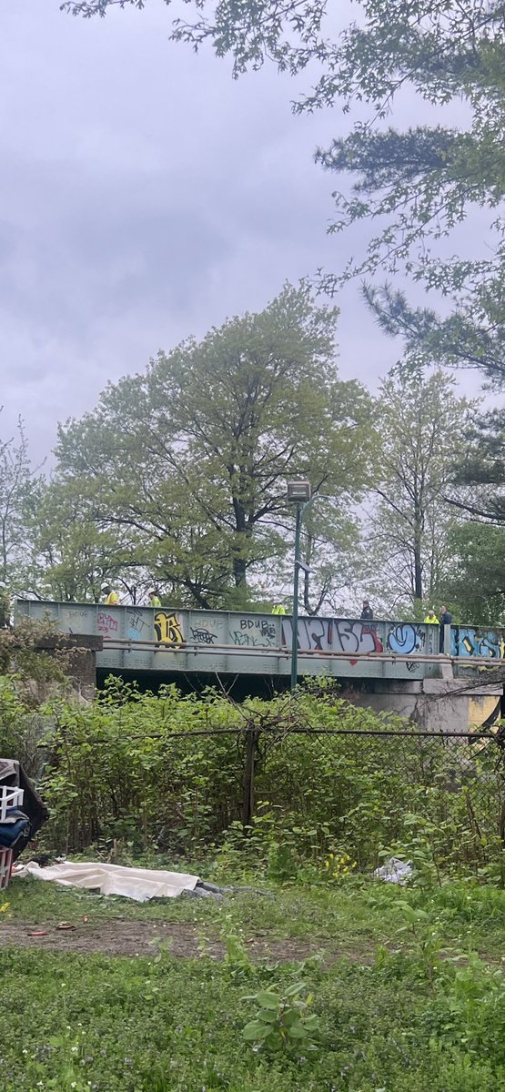 Tehya *support harm reduction* Johnson, NP tweet media