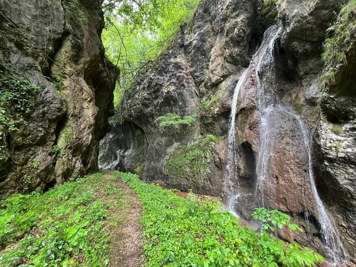 ClaudioBollenti's tweet photo. La Valganna..... Poco a nord di Varese, sulla strada per la Svizzera, trovate il cuore verde dell'Insubria.
#valganna https://t.co/0PBy5HJU7k