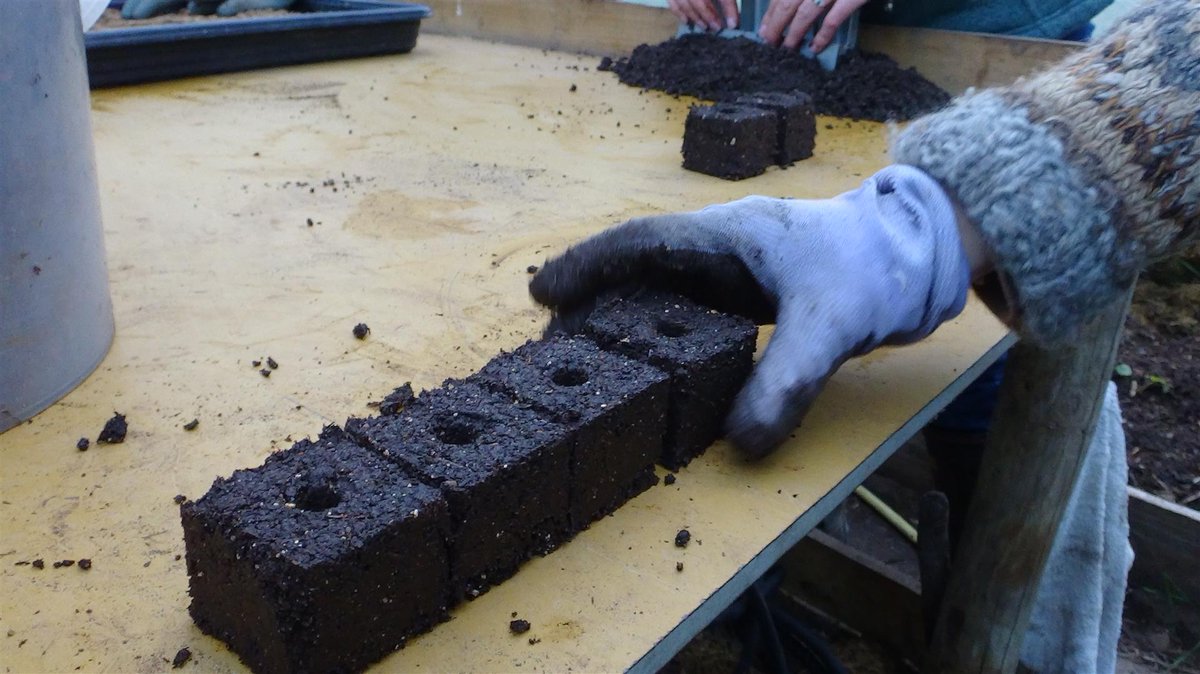 Promising initial results from the peat free #GrowBlocks #fieldlab show homemade #growingmedia outperformed peat-based control. The trial blocks which include only local constituents also stuck together & had better germination rates than some commercial #peatfree alternatives.