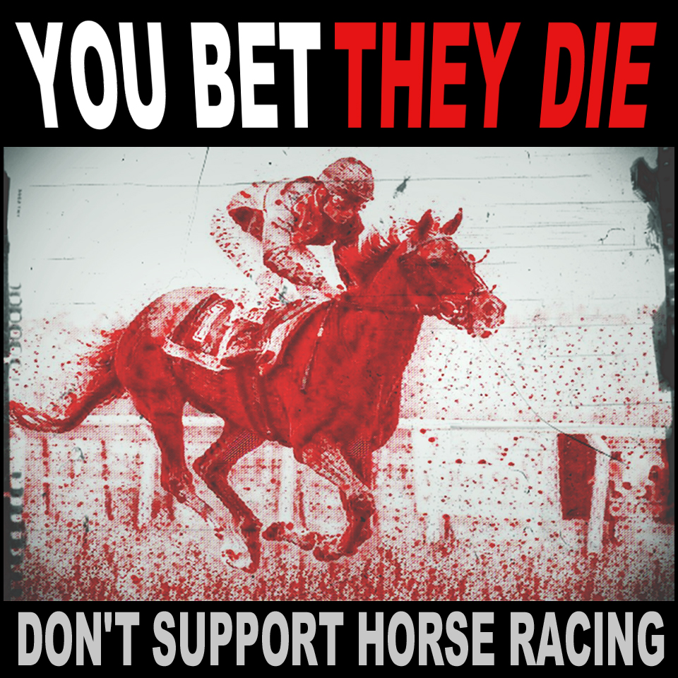 Confirmed DEAD: 6-year-old horse Old Port who fell in the 'Ballygowan Opportunity Maiden Hurdle' race at Down Royal racecourse on 6 May 2024 banbloodsports.wordpress.com/2021/08/19/hor… #YouBetTheyDie Say NO to horse racing